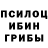 Псилоцибиновые грибы Magic Shrooms Andrej Mijailovic