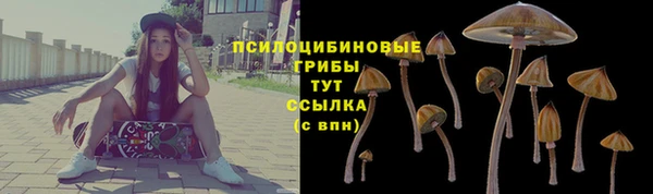 хмурый Армянск