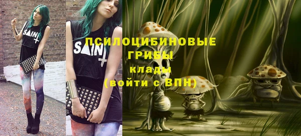 хмурый Армянск