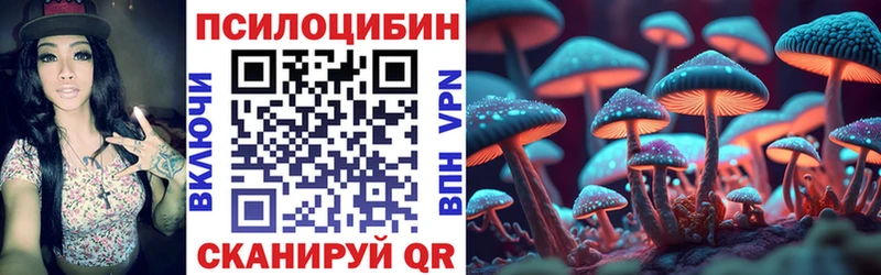 Псилоцибиновые грибы Cubensis  Пошехонье 